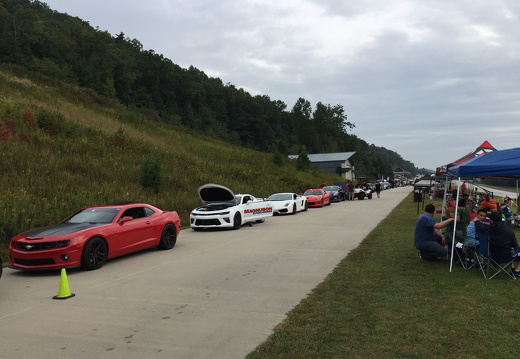 Races-Shows